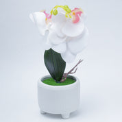Stylish White Artificial Flowers With Pot - 10 X 10 X 34Cm