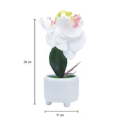 Stylish White Artificial Flowers With Pot - 10 X 10 X 34Cm