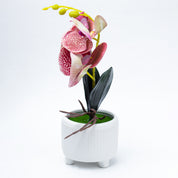 Stylish Pink Artificial Flowers With Pot - 11 X 11 X 21Cm
