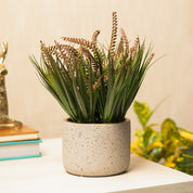 Grey Pot With Brown & Green Plant