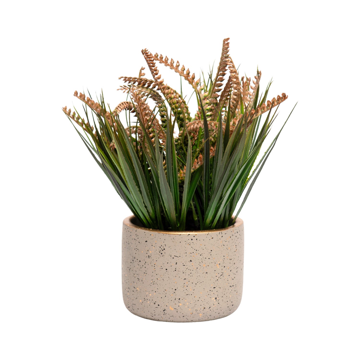 Grey Pot With Brown & Green Plant
