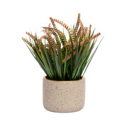 Grey Pot With Brown & Green Plant