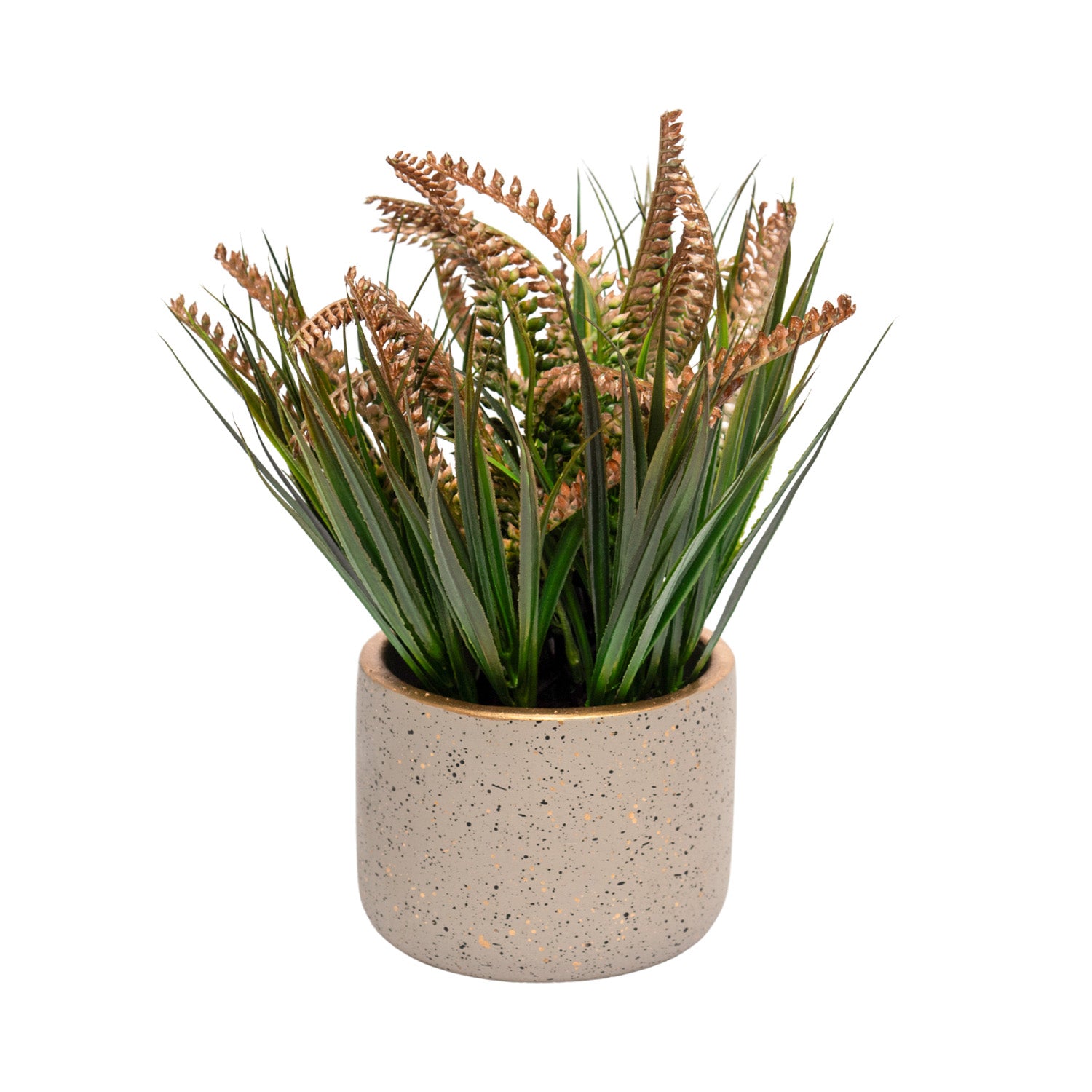 Grey Pot With Brown & Green Plant