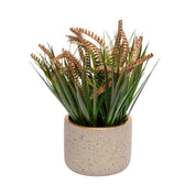 Grey Pot With Brown & Green Plant