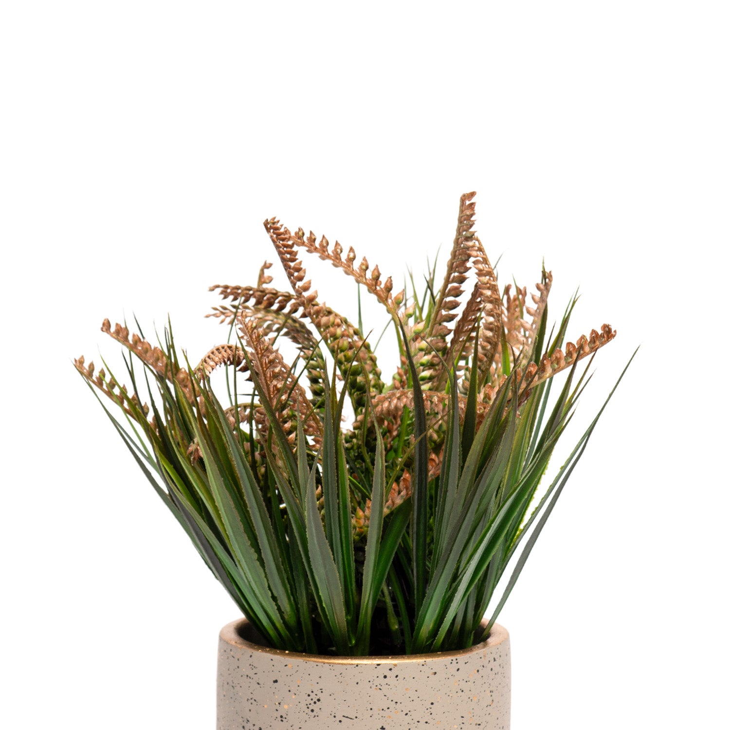 Grey Pot With Brown & Green Plant