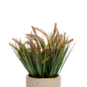 Grey Pot With Brown & Green Plant