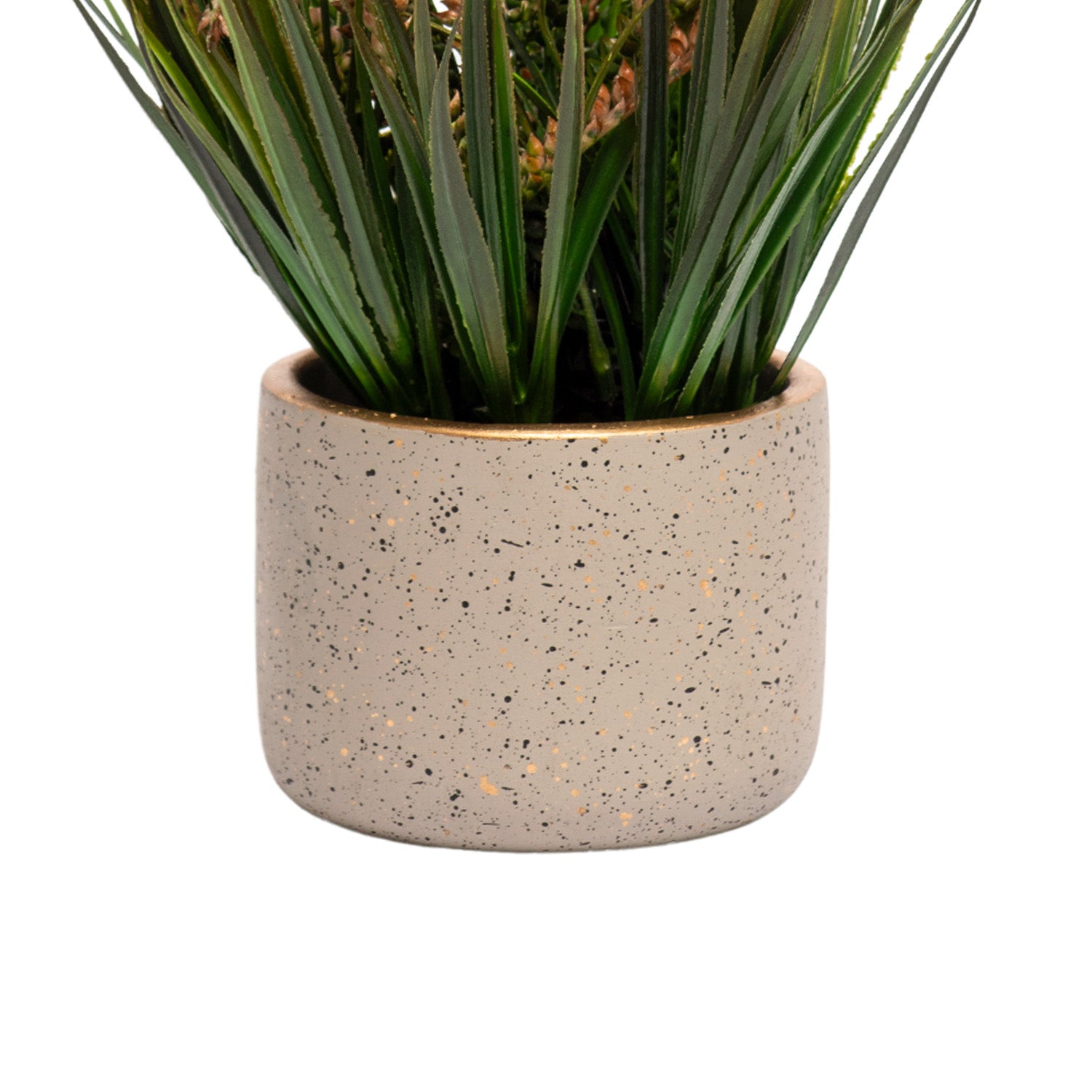 Grey Pot With Brown & Green Plant