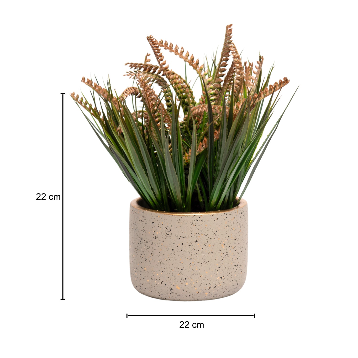 Grey Pot With Brown & Green Plant
