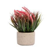 Grey Pot With Pink & Green Plant