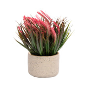 Grey Pot With Pink & Green Plant