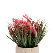 Grey Pot With Pink & Green Plant
