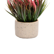 Grey Pot With Pink & Green Plant
