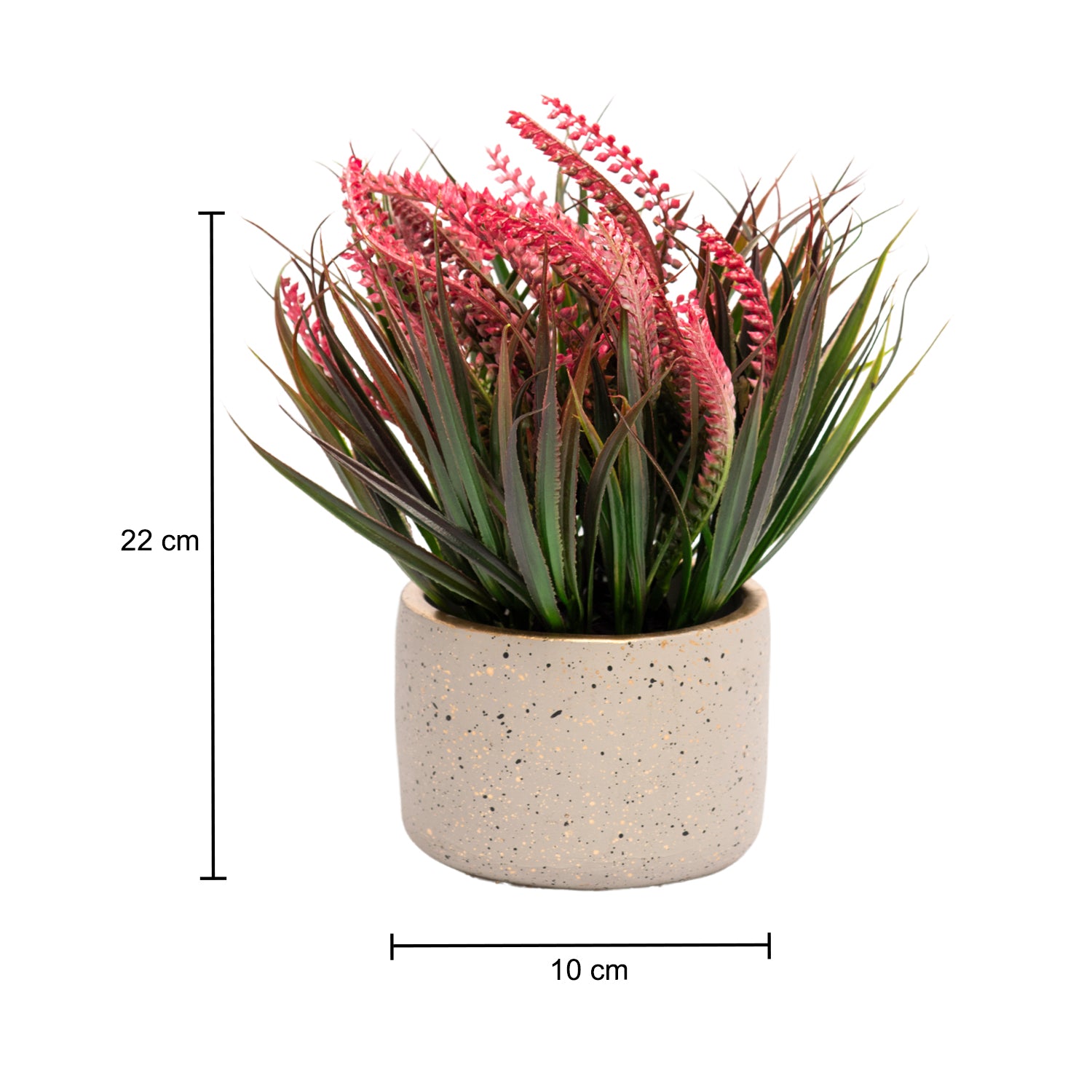 Grey Pot With Pink & Green Plant