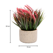 Grey Pot With Pink & Green Plant