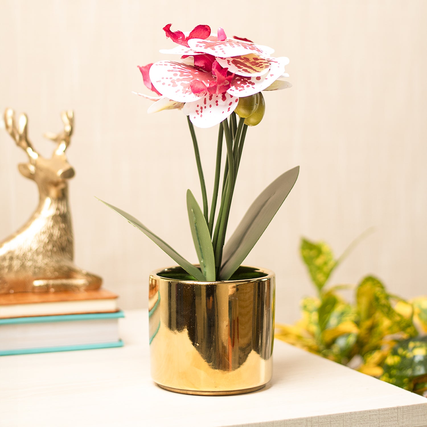 White Orchid With Golden Pot