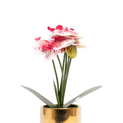 White Orchid With Golden Pot