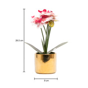 White Orchid With Golden Pot