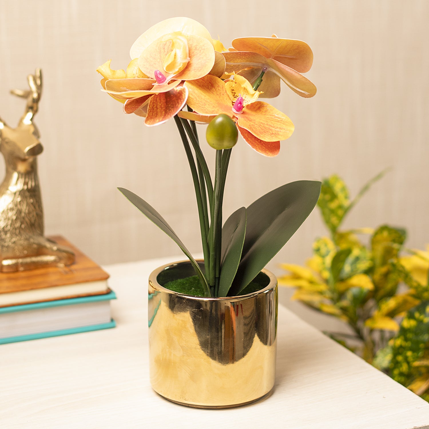 Yellow Orchid With Golden Pot
