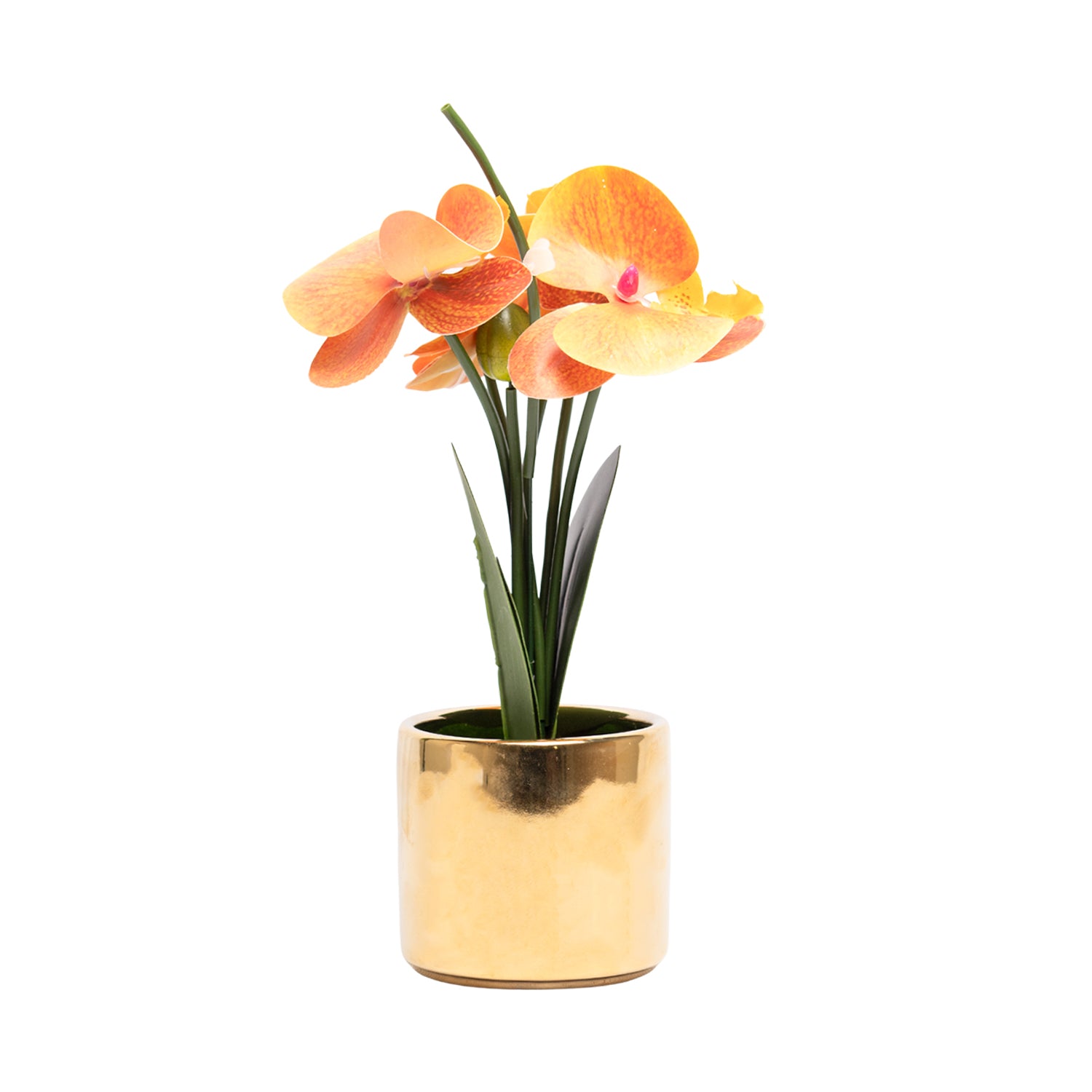 Yellow Orchid With Golden Pot