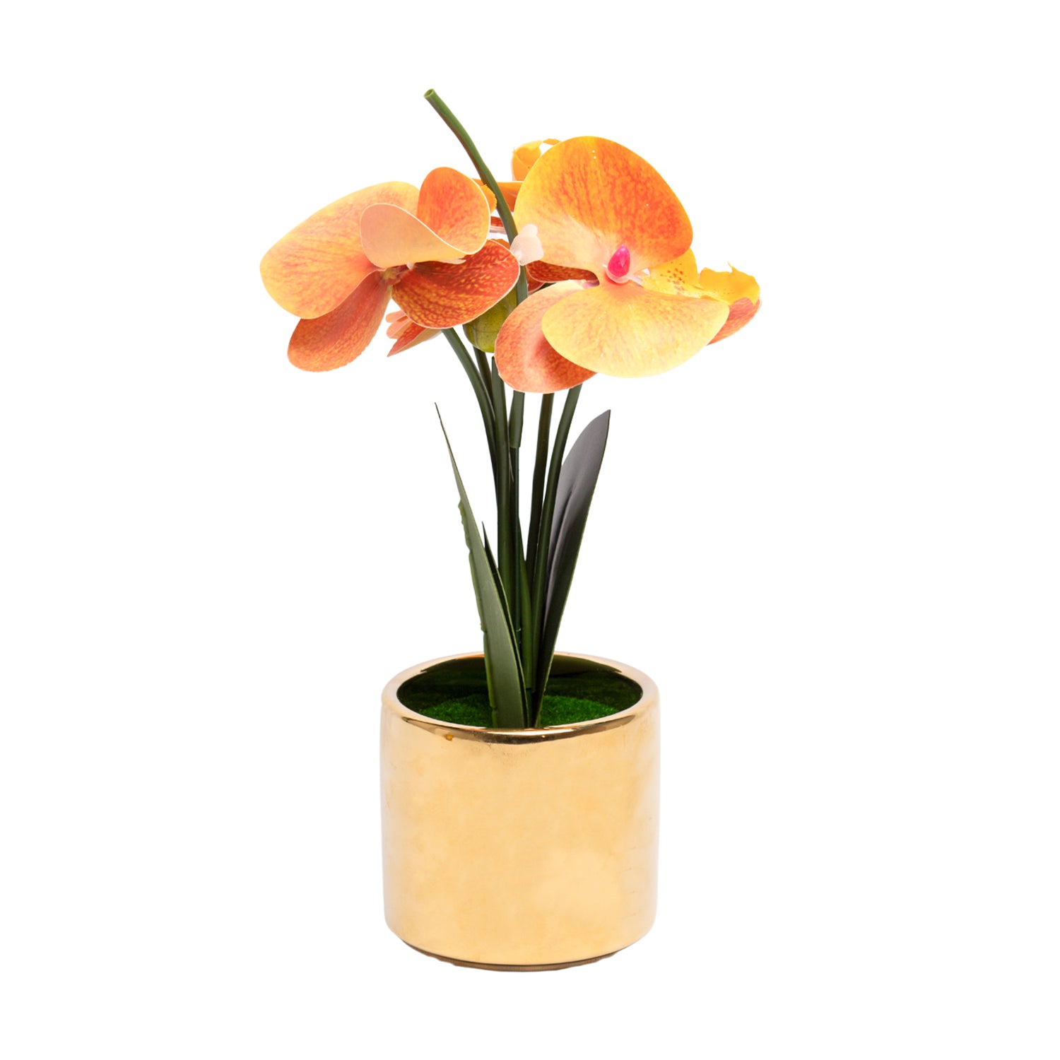 Yellow Orchid With Golden Pot