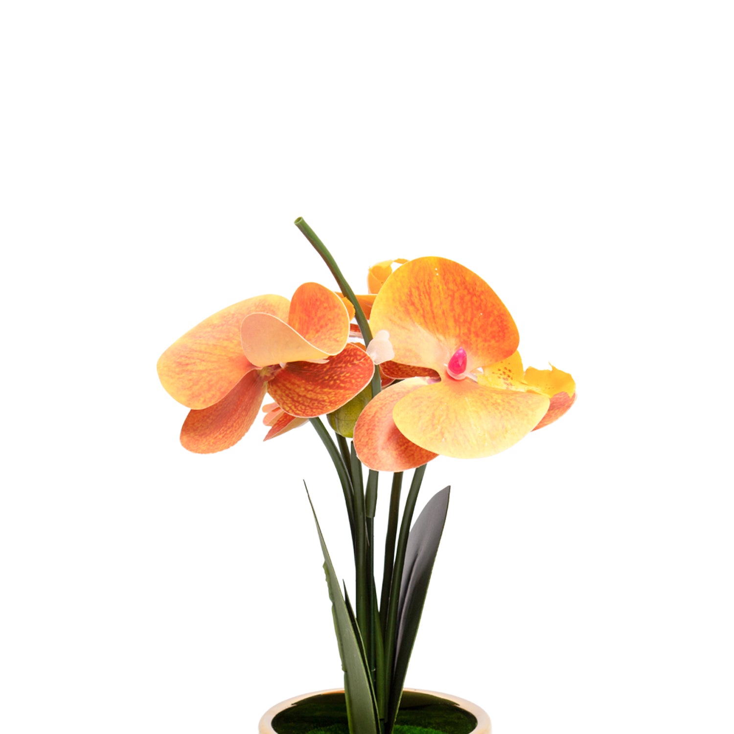 Yellow Orchid With Golden Pot