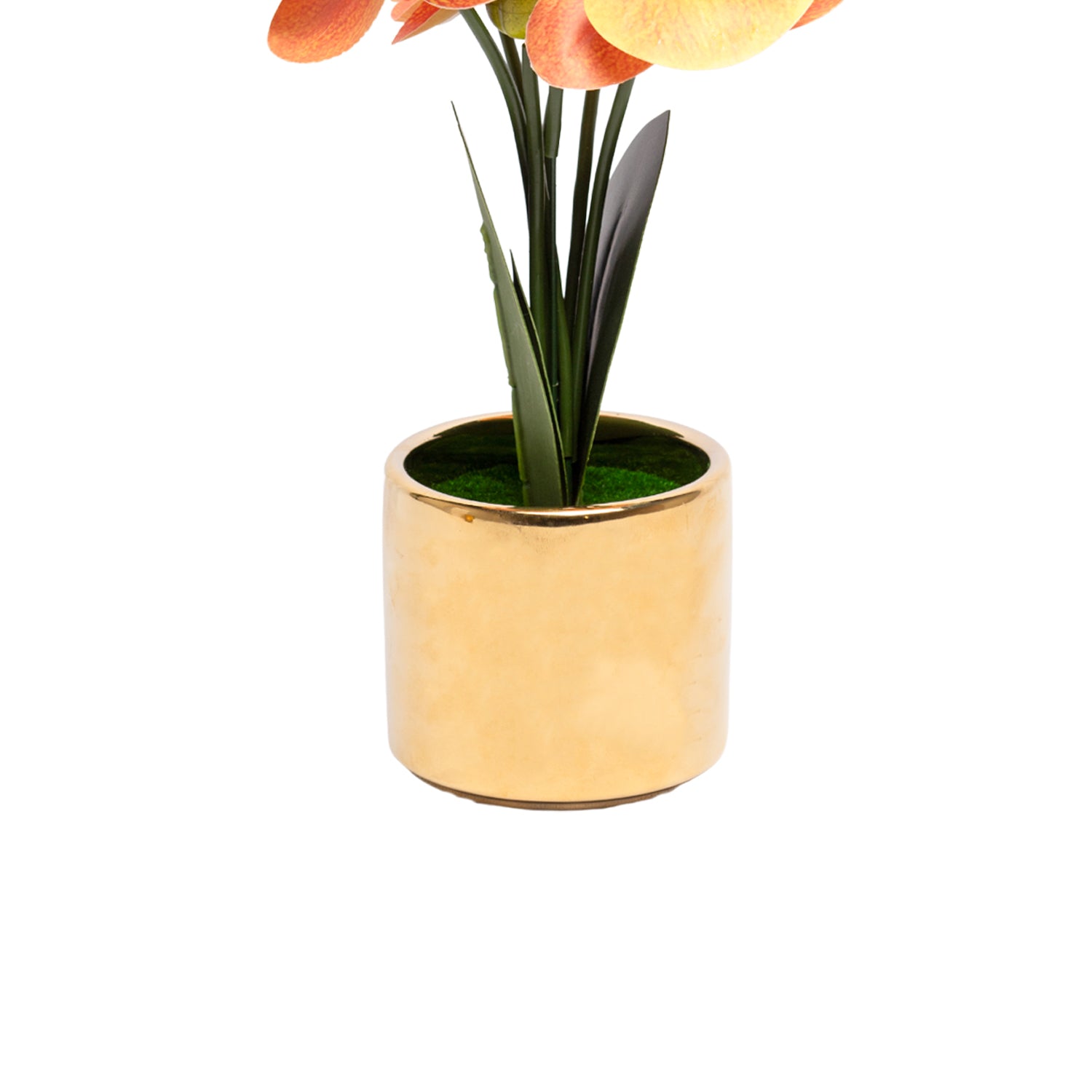 Yellow Orchid With Golden Pot