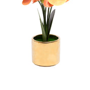 Yellow Orchid With Golden Pot
