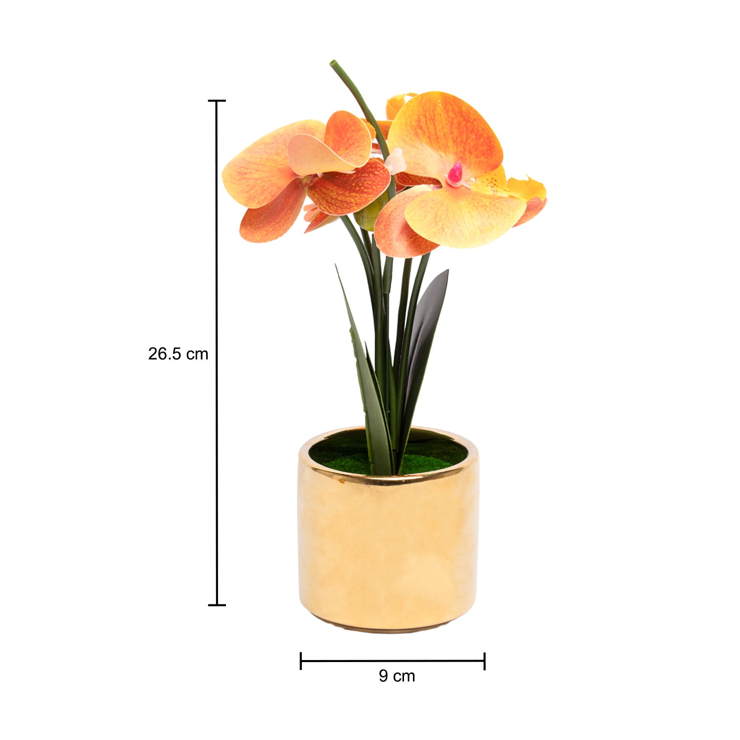 Yellow Orchid With Golden Pot