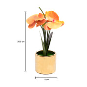 Yellow Orchid With Golden Pot