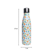 Stainless Steel Water Bottle - 500ml, Multicolour