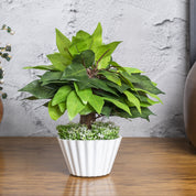 Ciliated Leaves Artificial Flower Vase For Home Décor