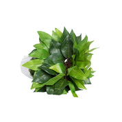 Ciliated Leaves Artificial Flower Vase For Home Décor