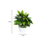 Ciliated Leaves Artificial Flower Vase For Home Décor