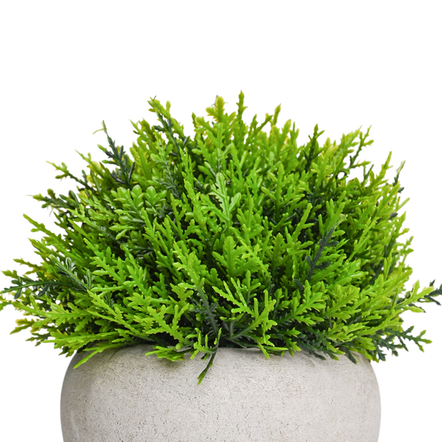 VON CASA Green Artificial Potted Plant - Stone Finish