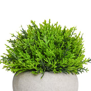 VON CASA Green Artificial Potted Plant - Stone Finish