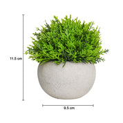 VON CASA Green Artificial Potted Plant - Stone Finish