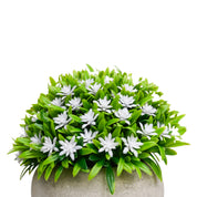 VON CASA White Flowers with Green Leafs Artificial Potted Plant - Stone Finish