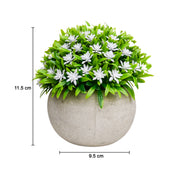 VON CASA White Flowers with Green Leafs Artificial Potted Plant - Stone Finish
