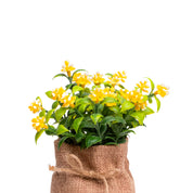VON CASA Yellow Artificial Potted Plant - Knitted