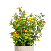 VON CASA Red Artificial Potted Plant - Stone Finish