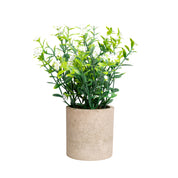 VON CASA White Artificial Potted Plant - Stone Finish