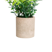 VON CASA White Artificial Potted Plant - Stone Finish