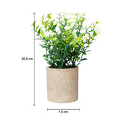 VON CASA White Artificial Potted Plant - Stone Finish