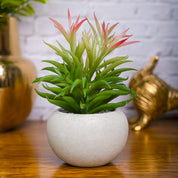VON CASA Artificial Potted Plant - Stone Finish