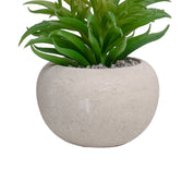 VON CASA Artificial Potted Plant - Stone Finish