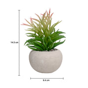 VON CASA Artificial Potted Plant - Stone Finish