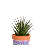 VON CASA Agave Artificial Potted Plant - Mandala Style