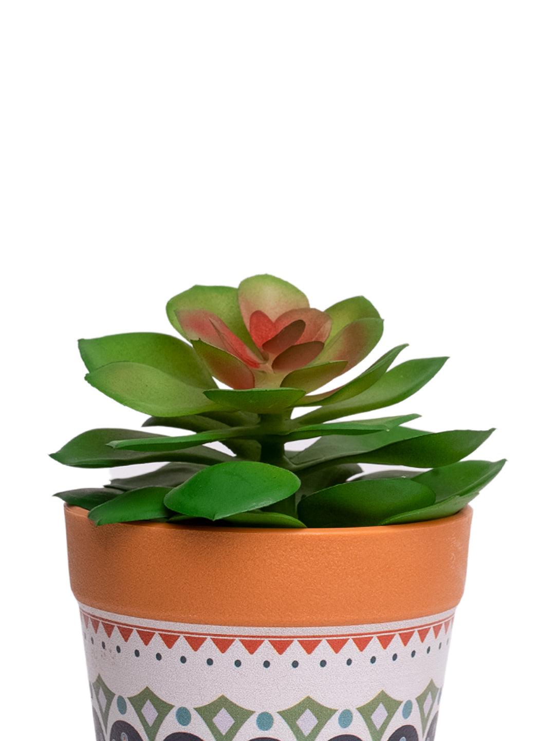 VON CASA Artificial Potted Plant - Mandala Style - MARKET99