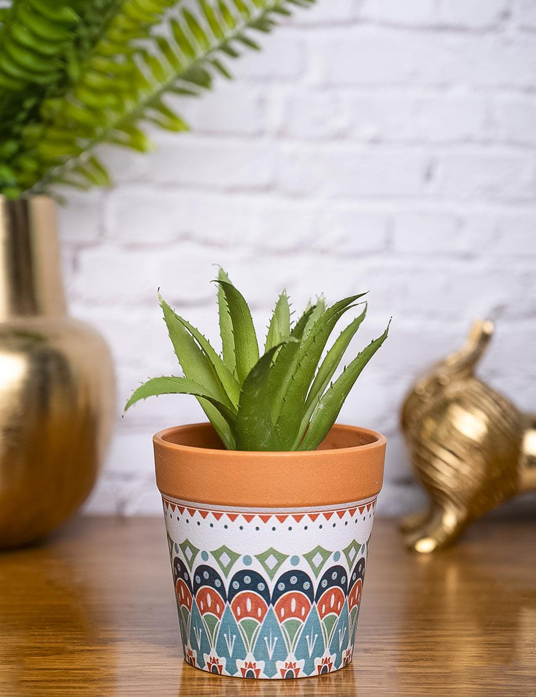 VON CASA Aloevera Artificial Potted Plant - Mandala Style - MARKET99