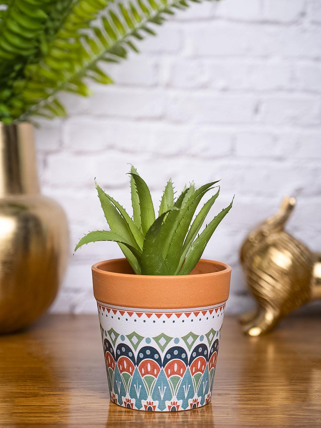 VON CASA Aloevera Artificial Potted Plant - Mandala Style - MARKET99